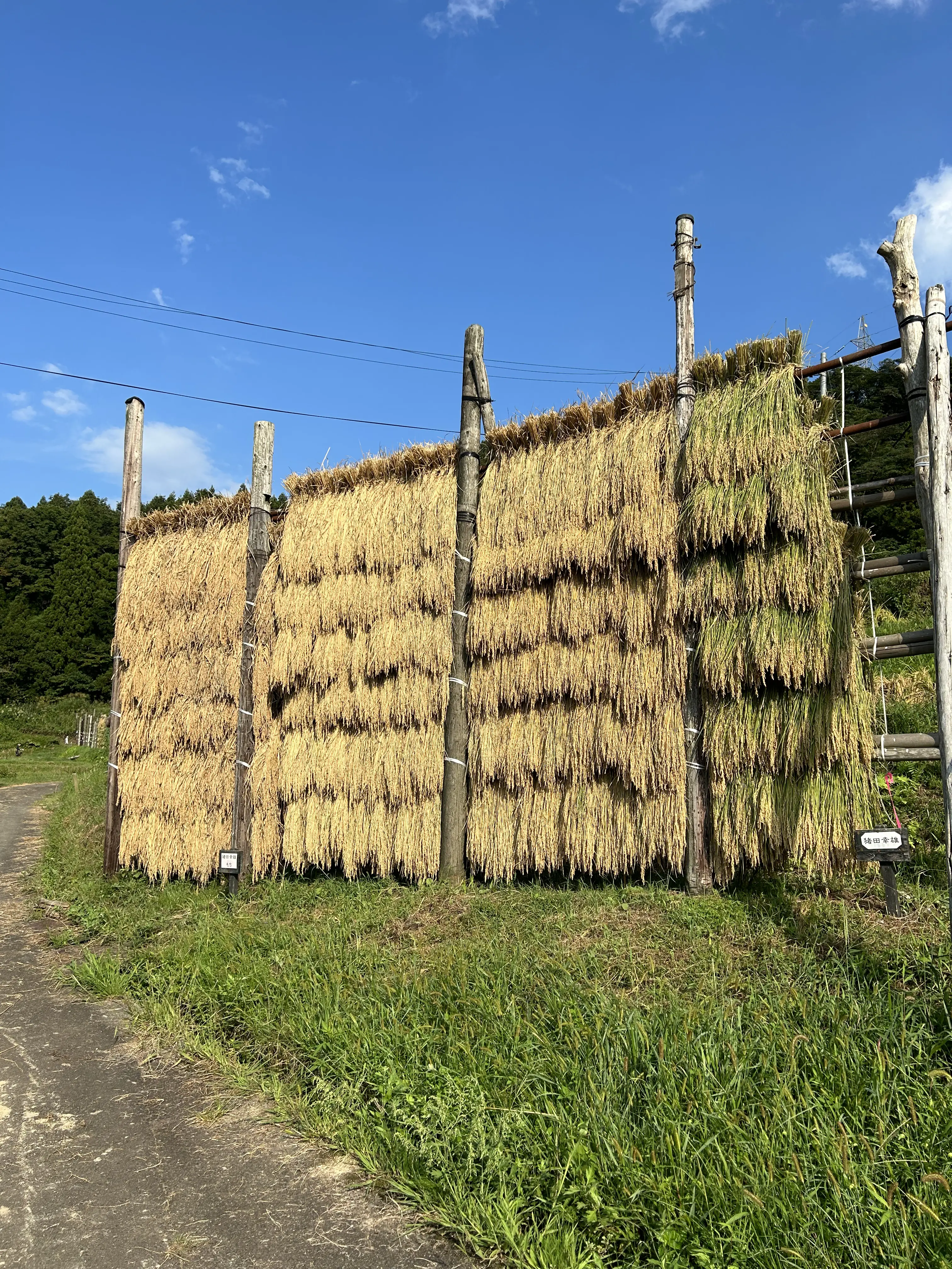 2番目の画像