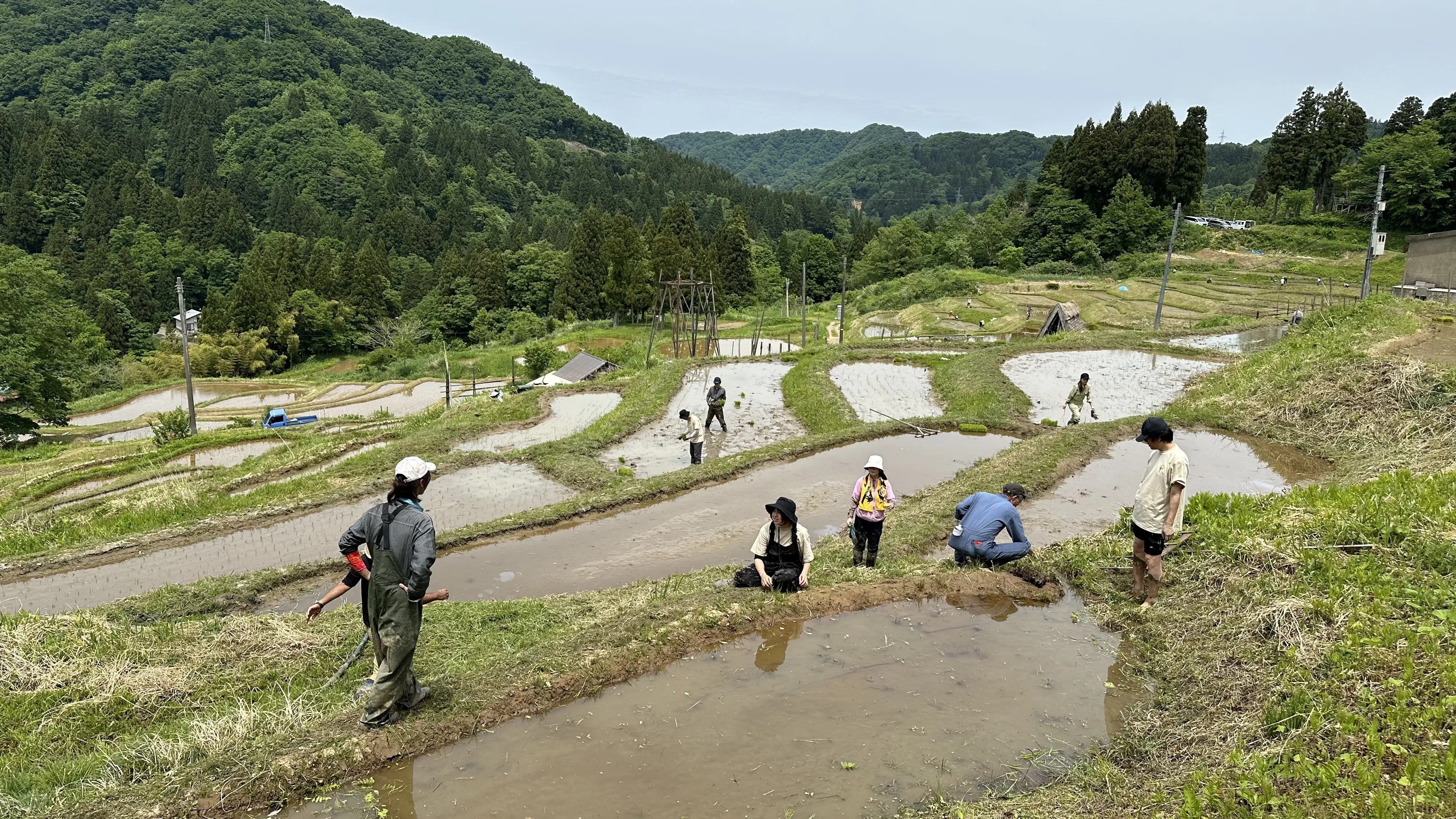 3番目の画像